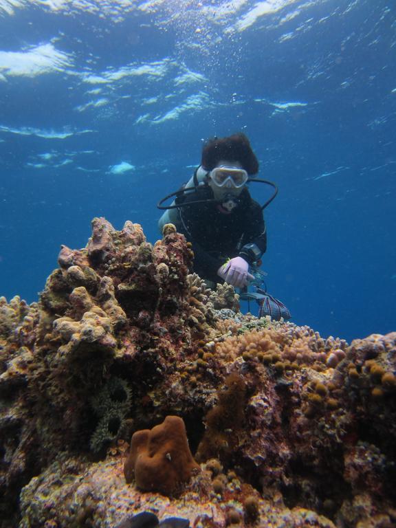 Nusantara Diving Centre Resort & Spa Manado Exterior foto